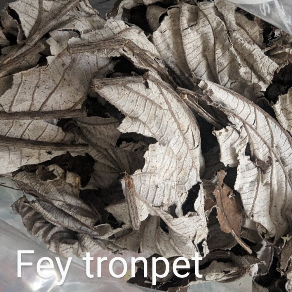 Fey Tronpet